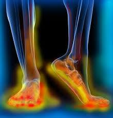peripheral nerve regeneration in the foot