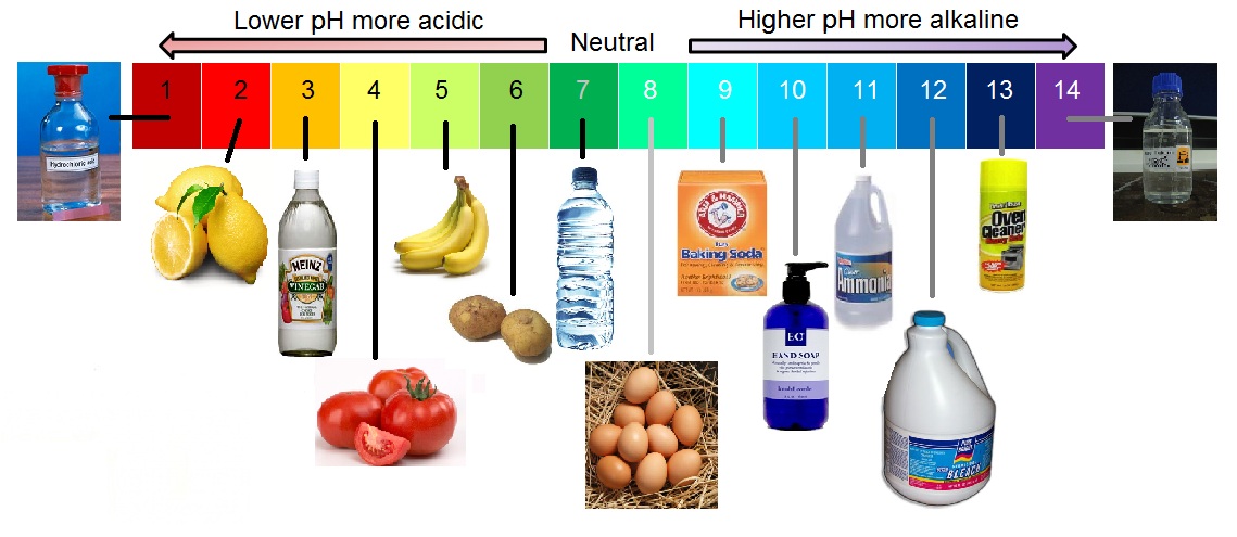 ph-scale